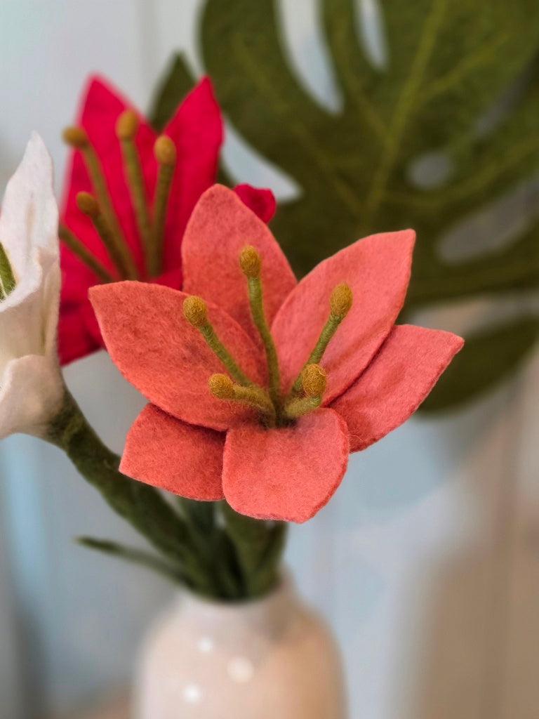 Trompetenlilie -  Dusty Red