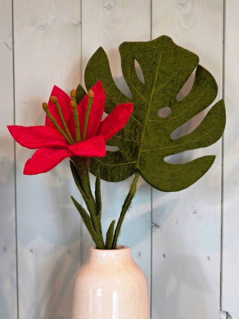 Trompetenlilie -  Melon