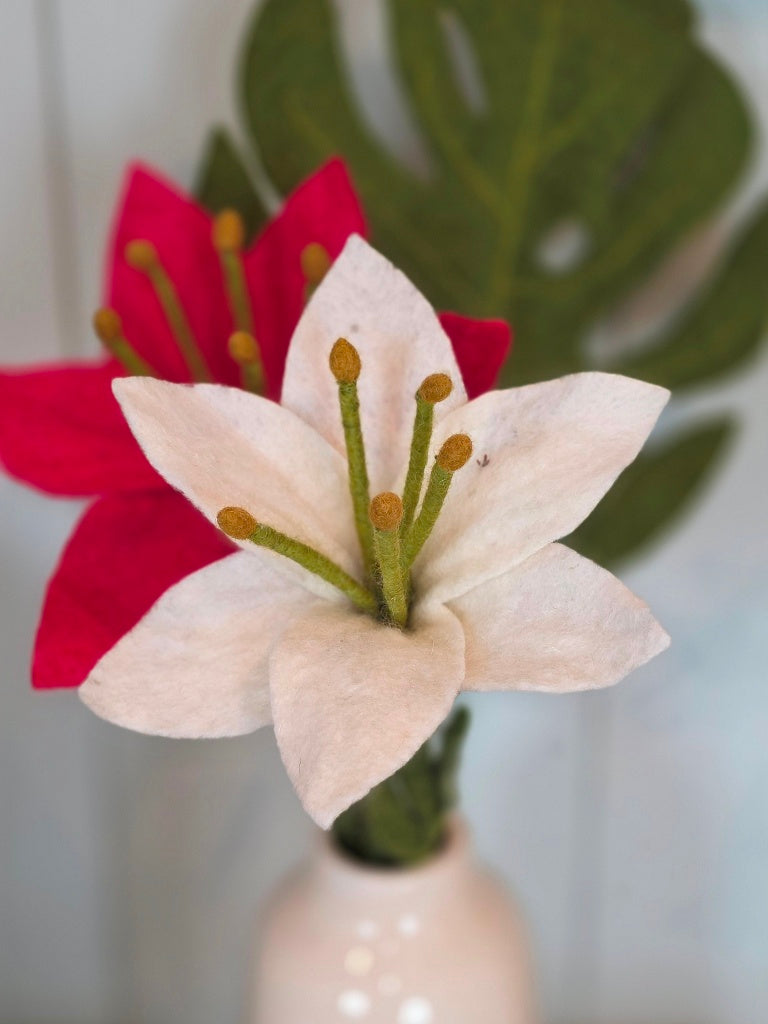 Trompetenlilie -  Weiß