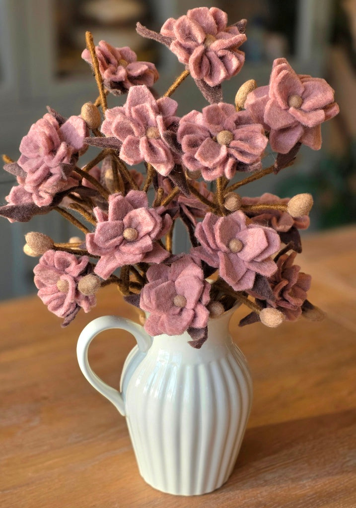 Magnolienzweig mit roséfarbenen Blüten