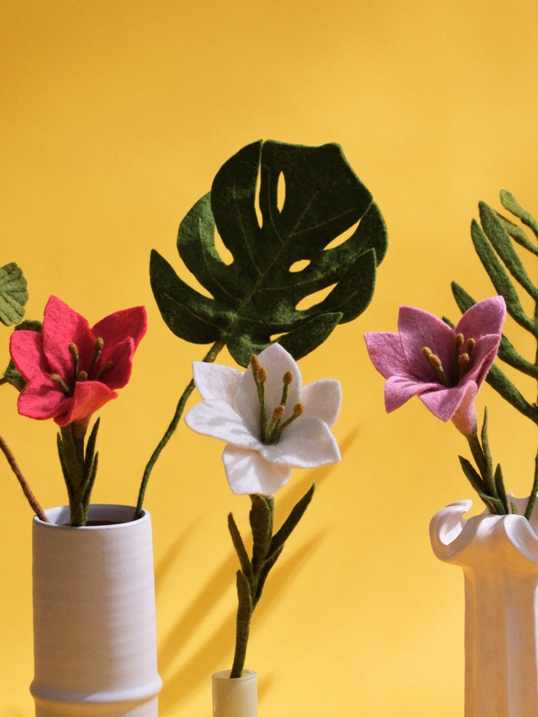 Monstera - Fensterblatt - grün