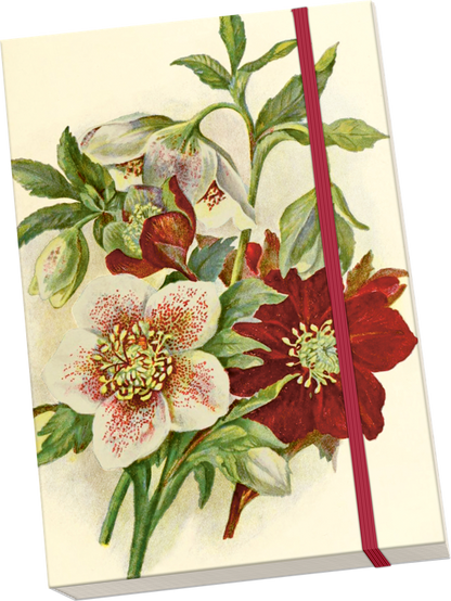 Notizbuch Helleborus