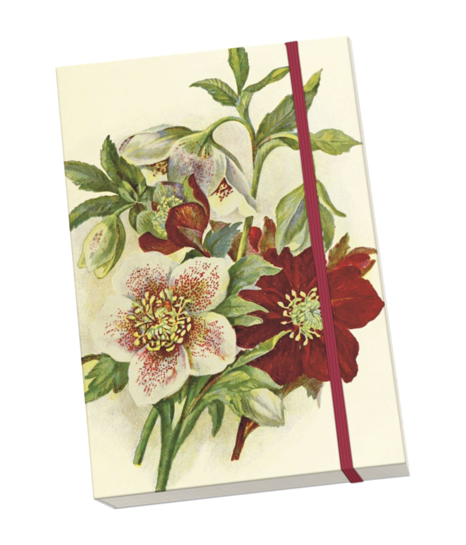 Notizbuch Helleborus