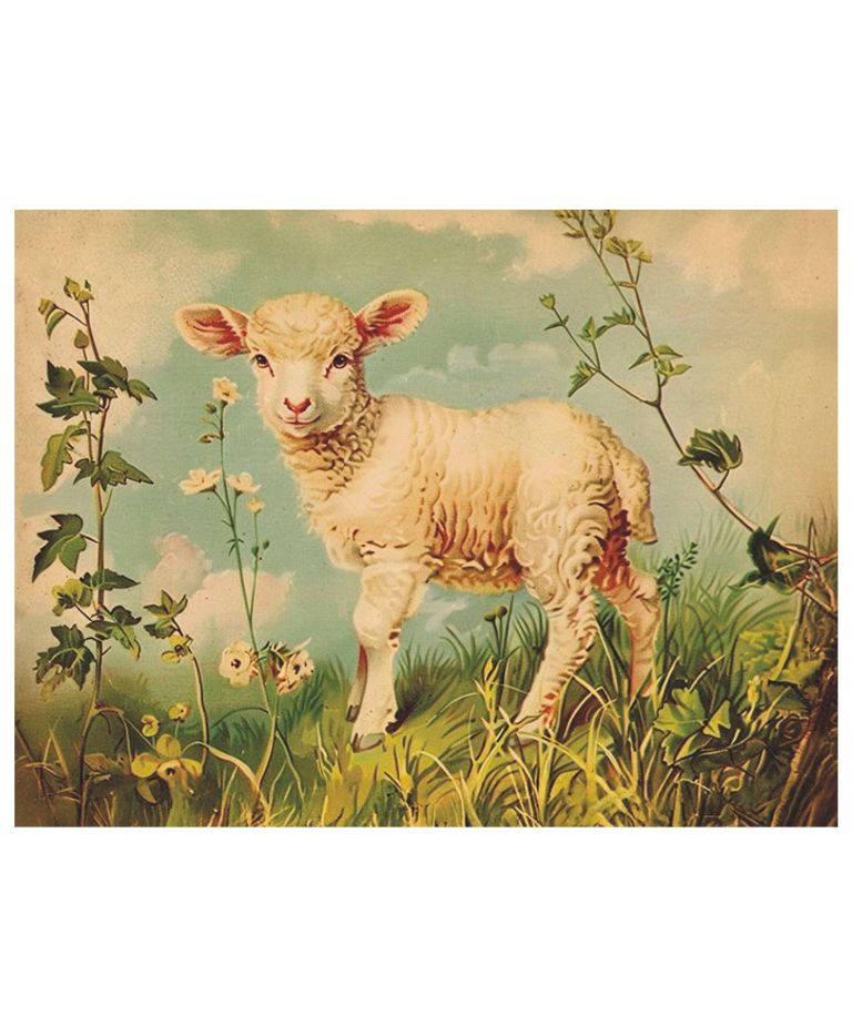 Vintage Druck Lämmchen 18 x 24 cm