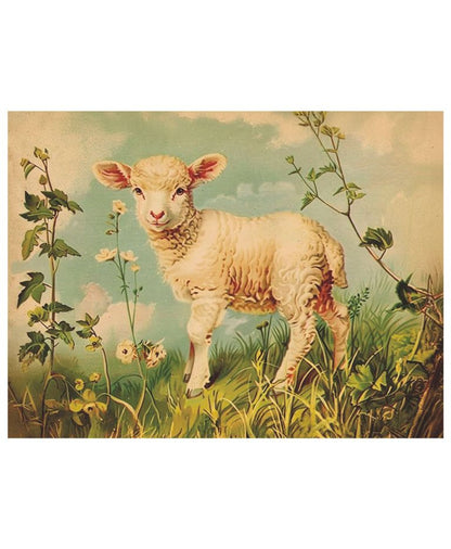 Vintage Druck Lämmchen 18 x 24 cm