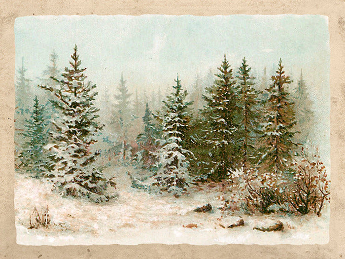 Vintage Druck Verschneiter Tannenwald 18 x 24 cm