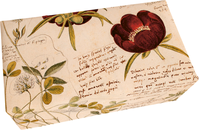 Seife Rosenduft Motiv Buchdruck Rosen