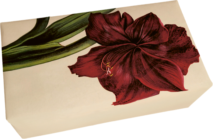 Seife Amaryllis Duft Bratapfel