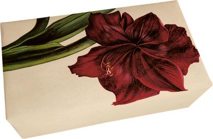 Seife Amaryllis Duft Bratapfel