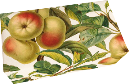 Seife Äpfel Duft Apfel 200g