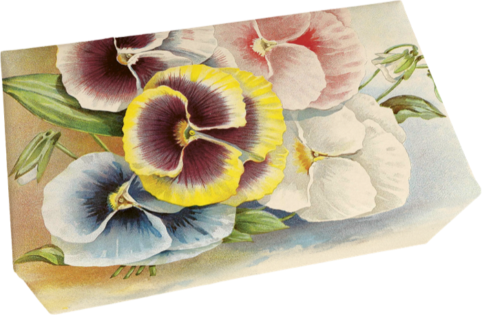 Seife Stiefmütterchen Pastell Duft Veilchen
