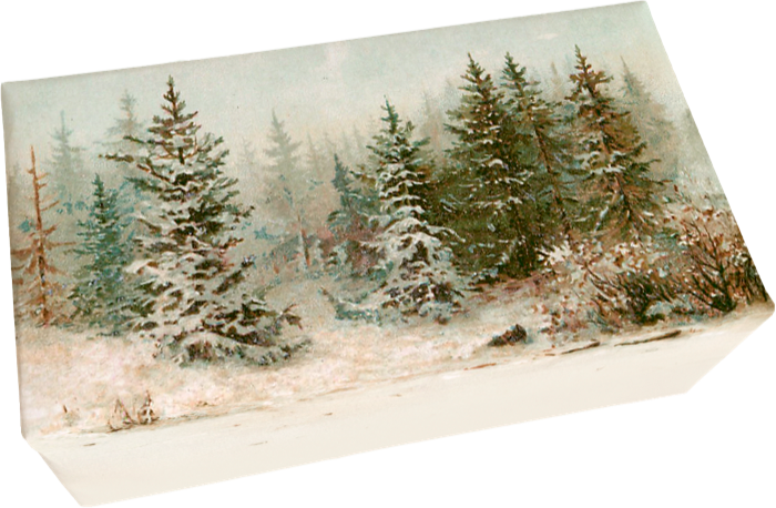 Seife Tannenwald Duft Wald