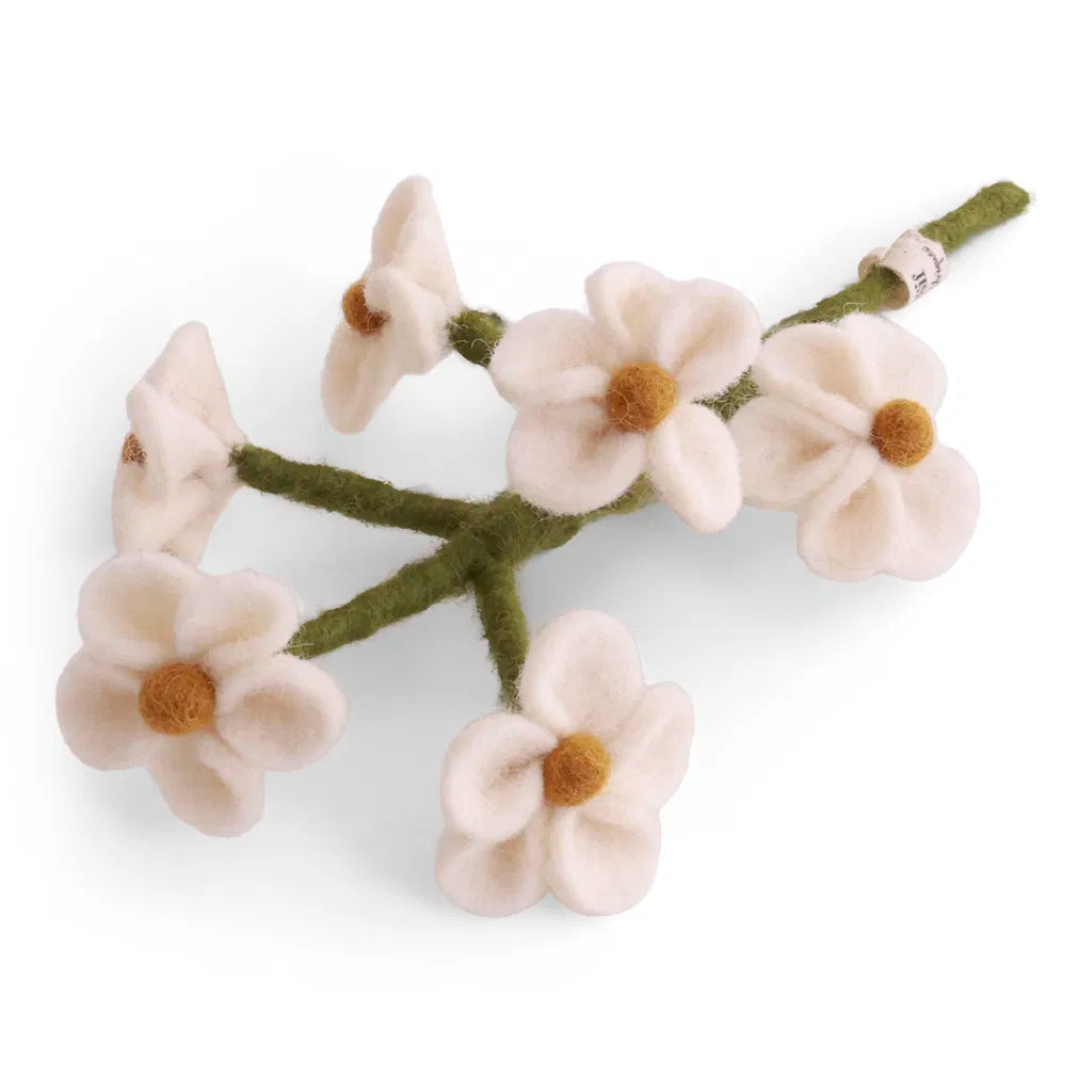 Vergissmeinnicht - Weiss - 18 cm