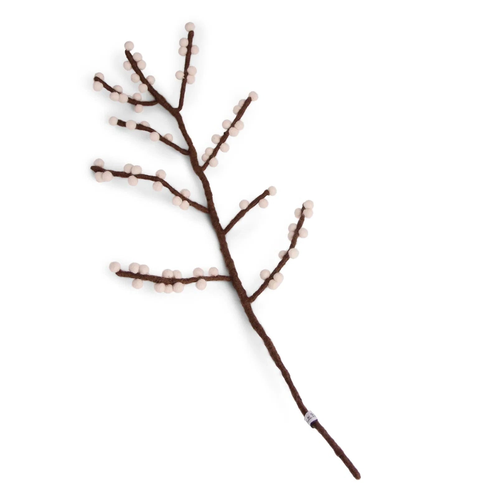 Zweig mit weißen Beeren