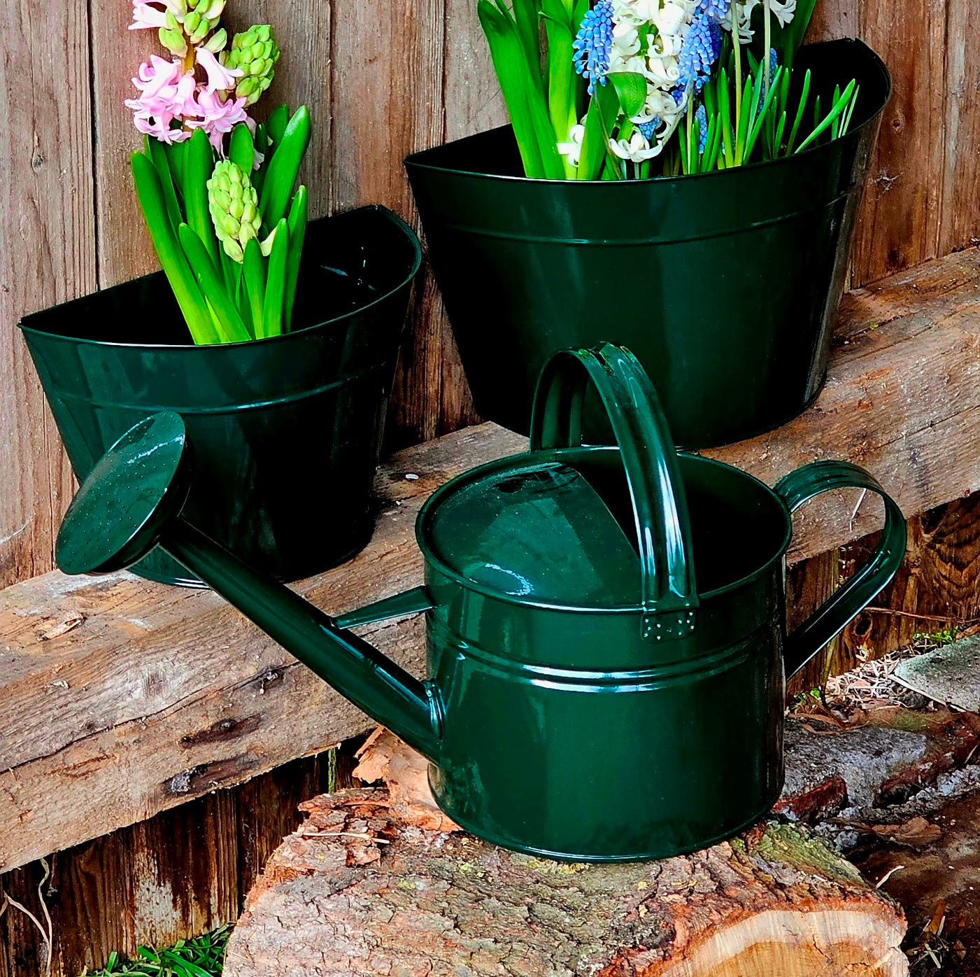 Gießkanne 5l Zink dunkelgrün